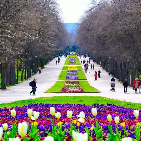 далия - Dalia 公寓 瓦爾納