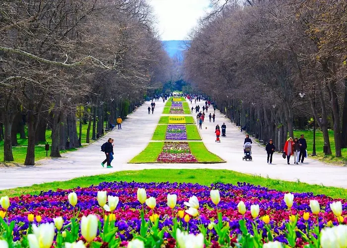 далия - Dalia 公寓 瓦爾納